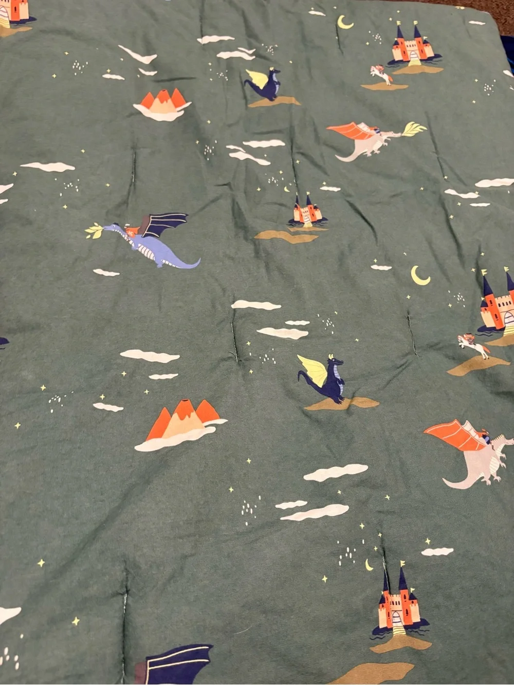 4 Piece Pillowfort Dragon Twin Bedding